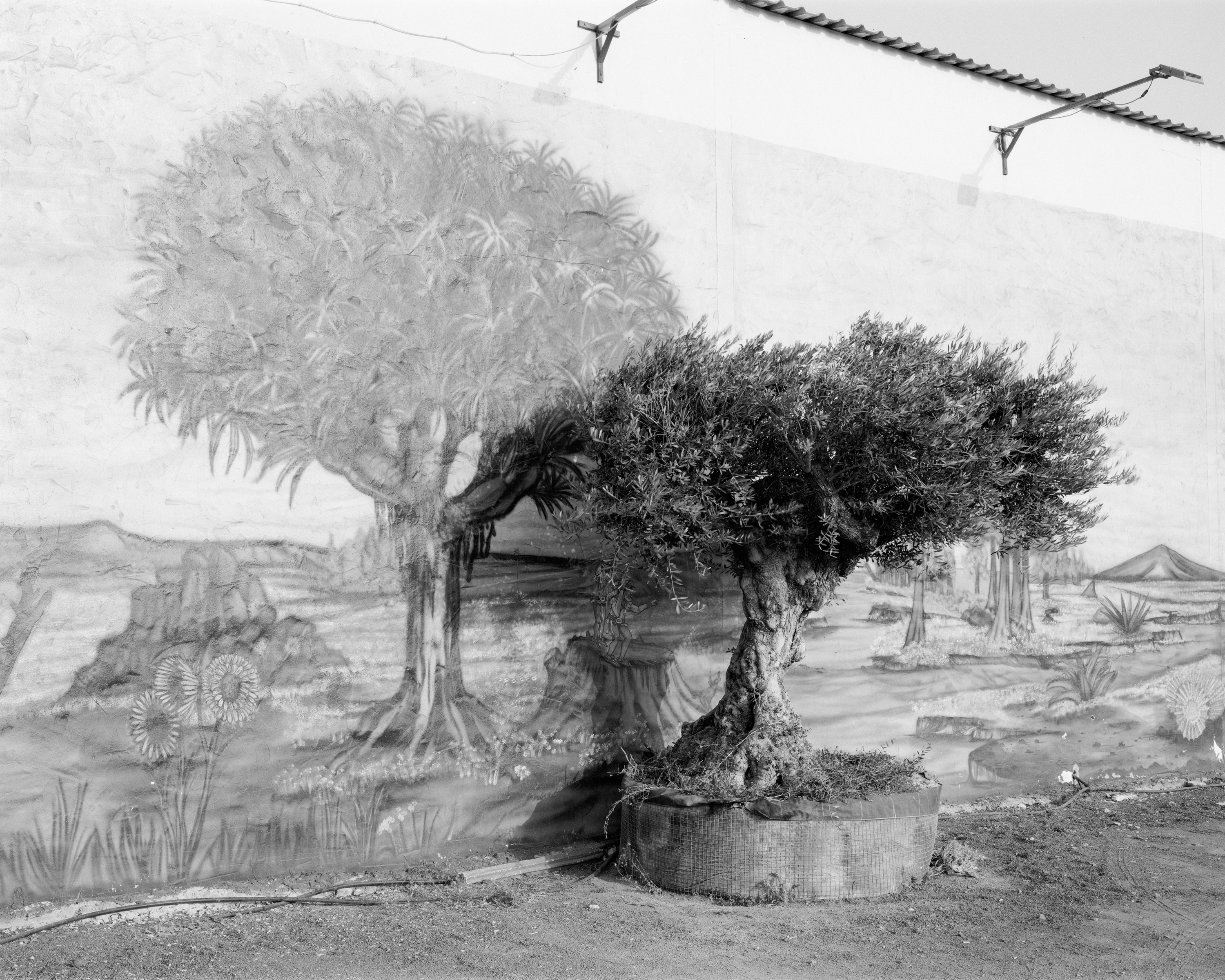 Vistas_web-6