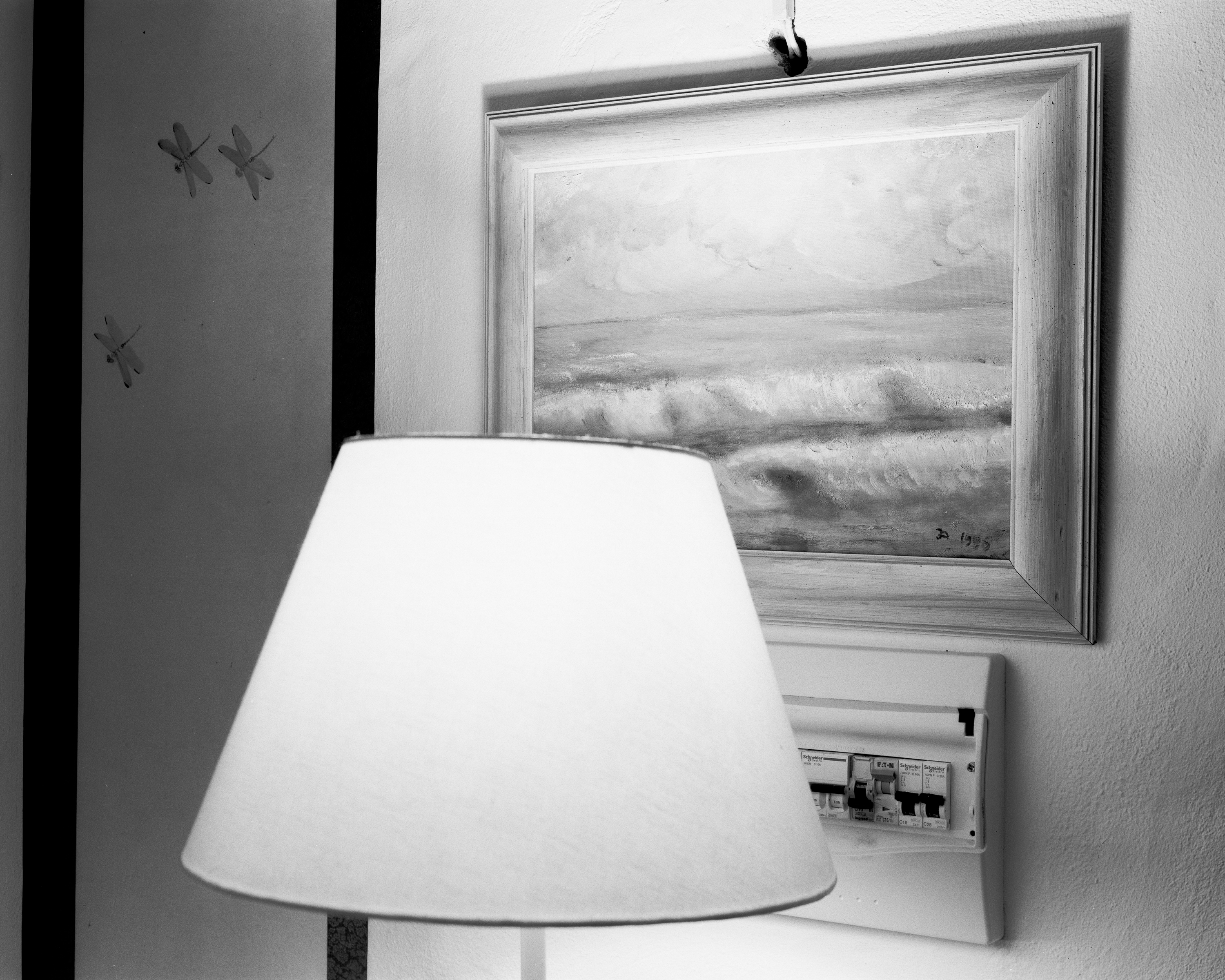 Vistas_web-8